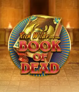 Embark on the thrilling world of Book of Dead Slot by Play'n GO, featuring vivid graphics of Rich Wilde's journey through ancient Egyptian tombs and artifacts. Find lost riches with engaging mechanics like free spins, expanding symbols, and a gamble option. Ideal for those seeking adventure with a desire for unearthing secrets.